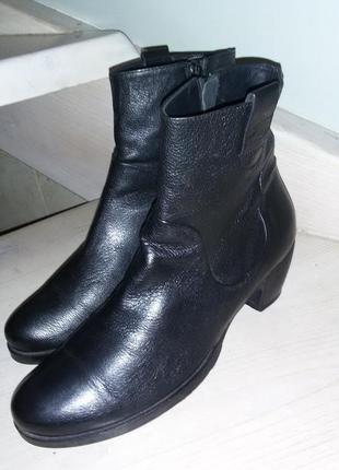 Элегантные кожаные демисезонные ботинки бренда isabell( italy)...
