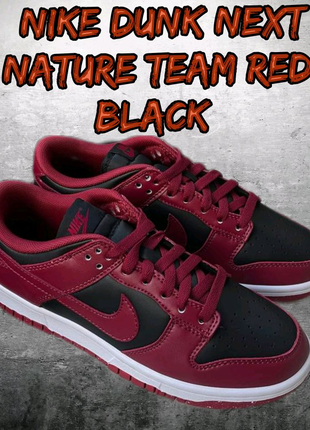 Кросівки Nike Dunk Next Nature Team Red Black