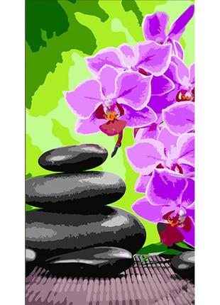 Картина по номерам Strateg Орхидеи и черные камни 50x25 см ww1...