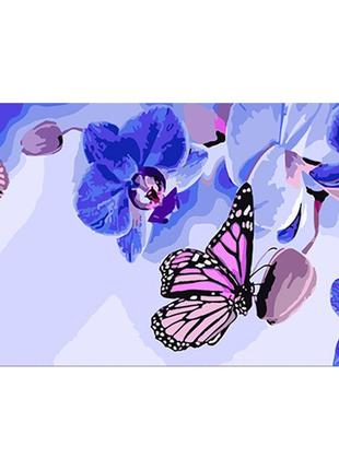 Картина по номерам Strateg Бабочки на орхидеях 50x25 см ww200 ...
