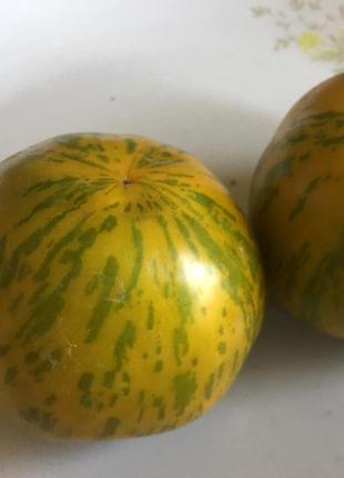 Насіння томату "Люсіль" (20 насінин)