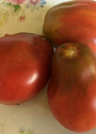 Насіння томату "Винний кувшин" (20 насінин)