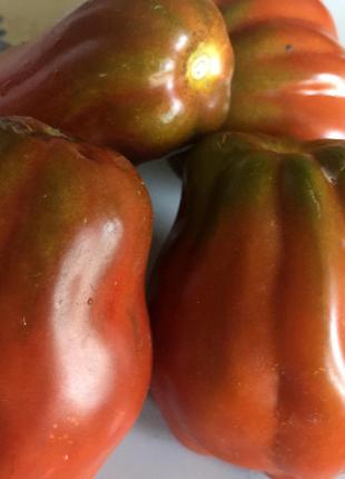 Насіння томату "Снікерс" (20 насінин)