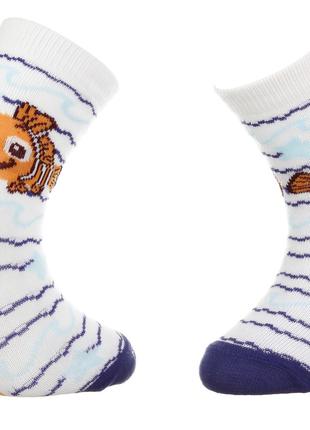 Шкарпетки NEMO-BEBE білий-синій Діт 23-26, арт.43847651-3