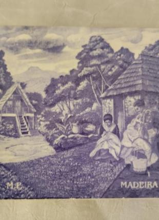 Madeira portugal картина миниатюра