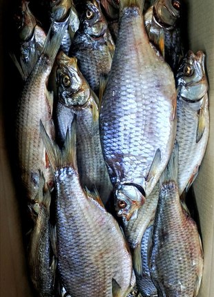 Таранка сушена риба