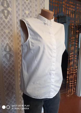 Классическая белая блузка без рукавов