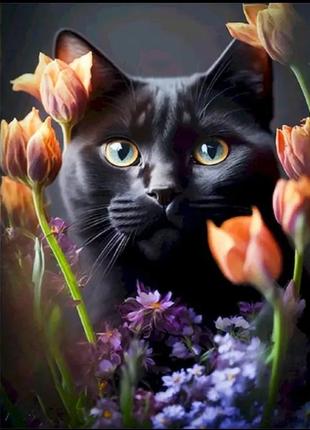 Картина по номерам черный котик