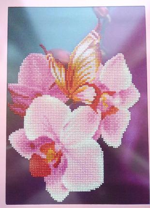Алмазная вышивка "Орхидея" в рамке с антибликовым стеклом, руч...