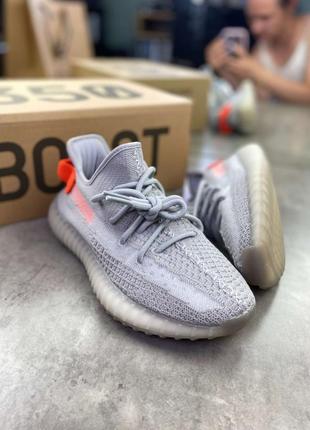 Кроссовки adidas yeezy boost 350 tail light v2 серые