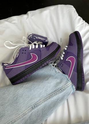 Найк nike sb dunk low purple lobster