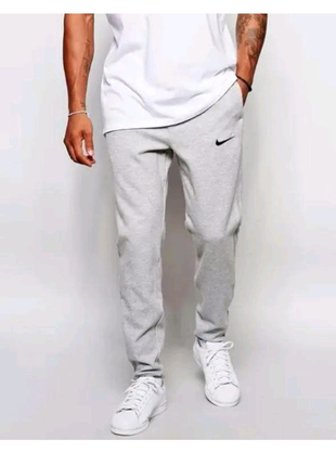 Чоловічі спортивні штани Nike світло-сірі