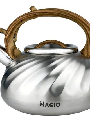 Кухонный металический чайник из нержавейки Magio MG-1194, Каче...