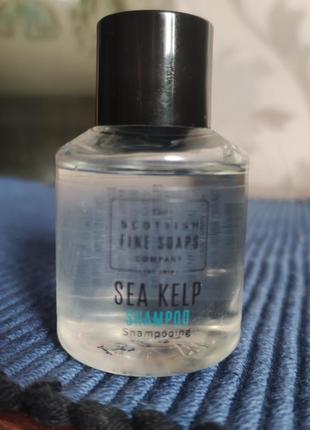 Sea kelp shampoo шампунь