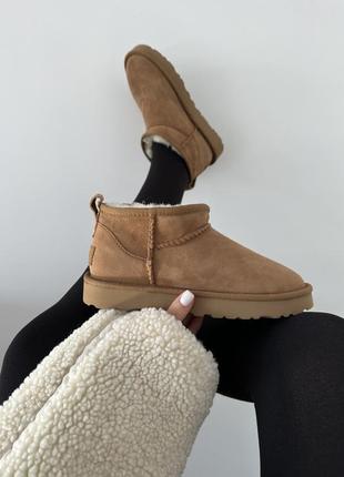 Зимние женские ботинки ugg premium ultra mini chestnut suede p...