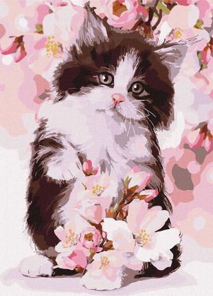 Картина по номерам Идейка KHO4383 Пушистый котенок, 30х40см.