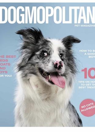 Тетрадь общая "Pets magazine" 036-3194K-5 в клетку 36 листов