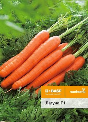 Насіння моркви Лагуна F1 фр. 1,8 - 2,0 (25 000 нас.) Nunhems