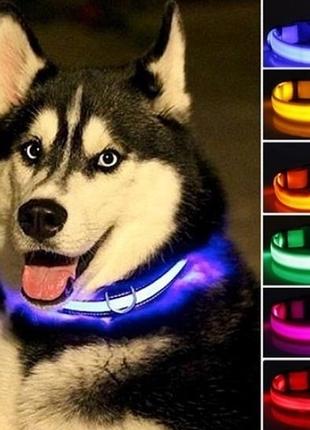 Светящийся ошейник для собак на батарейках