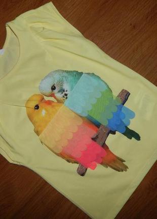 Яркая футболка с попугаями