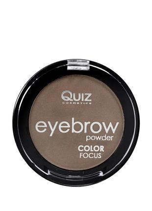Тени-пудра для бровей Quiz Cosmetics Eyebrow Powder 4g (590643...