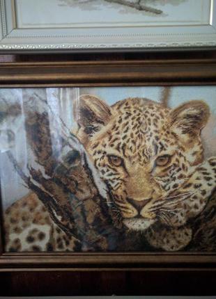 Картина леопард, вышита мелким крестиком, 46х36