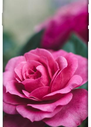 Чехол itsPrint Роза в саду для Apple iPhone 7 / 8 (4.7")