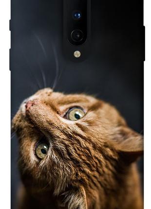 Чехол itsPrint Рыжий кот для OnePlus 8