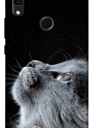 Чехол itsPrint Cute cat для Huawei P Smart Z