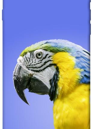 Чехол itsPrint Попугай ара для Apple iPhone 7 plus / 8 plus (5...