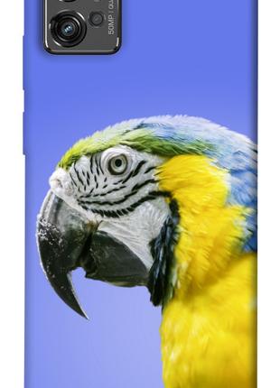 Чехол itsPrint Попугай ара для Motorola Moto G32