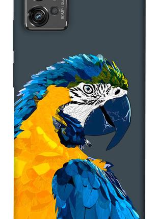 Чехол itsPrint Попугай для Motorola Moto G32
