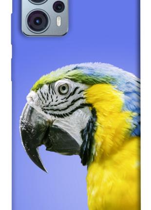 Чехол itsPrint Попугай ара для Motorola Moto G23