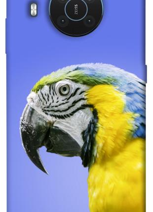 Чехол itsPrint Попугай ара для Nokia X10 / X20