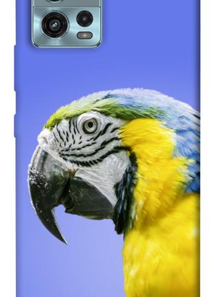Чехол itsPrint Попугай ара для Motorola Moto G72