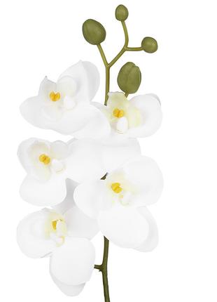Орхідея латексна біла 36см Гранд Презент 713040