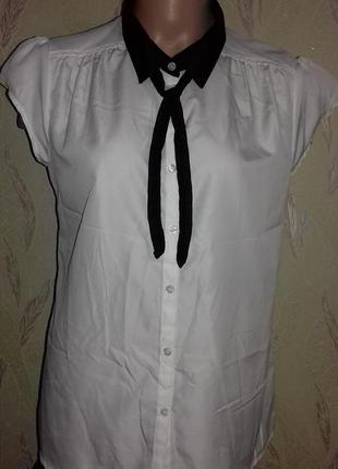 Блуза белая с черным воротничком. рубашка.