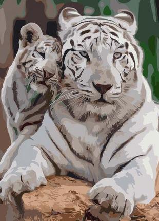 Картина за номерами "Білі тигри"