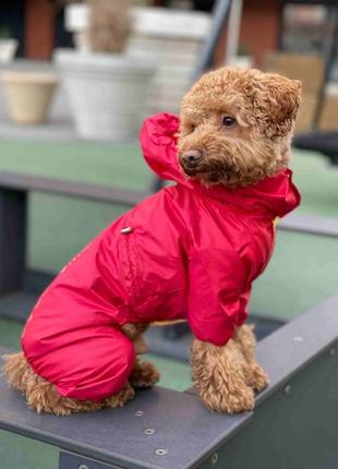 Дождевик для собак со скрытым капюшоном красный