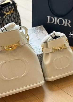 Сумка в стиле dior