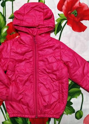 Розовая, демисезонная куртка с ушками для девочки 5-6 лет
