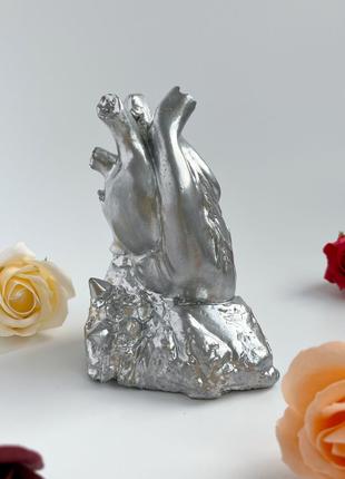 Скульптура Анатомическое сердце реальных размеров (серебро )