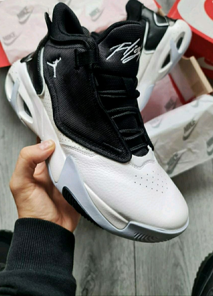 Чоловічі кросівки Nike Jordan Max Aura 4