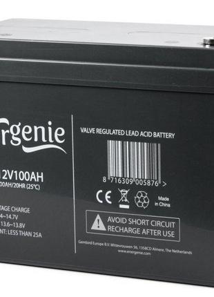 Аккумуляторная батарея EnerGenie BAT-12V100AH, 12В 100Aч