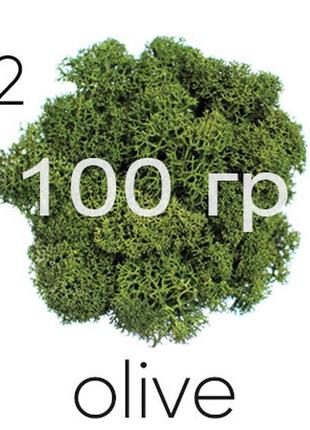 Мох стабилизированный (ягель), оливковый 02, 100 грамм