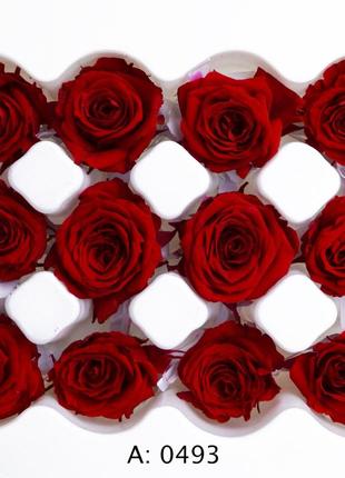 Роза красная мини ø2-3 см verona red, 12 шт/упаковка