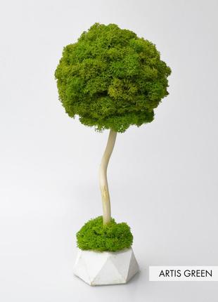 Декоративное дерево с настоящим мхом fresh tree, топиарий 20 cm