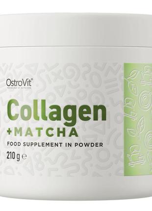 Препарат для суставов и связок OstroVit Collagen + Matcha, 210...