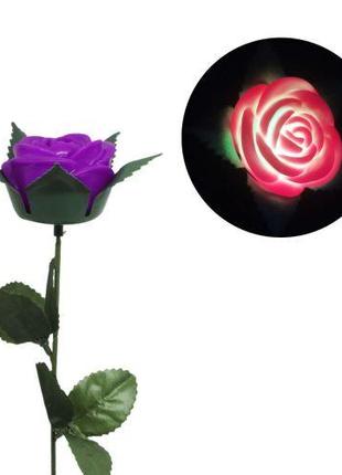 Уцінка. Троянда зі світлом, 40 см (фіолетовий) - вiдлама пелюстка