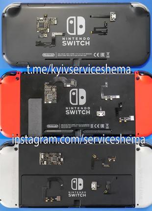 Прошивка Nintendo Switch, Чіповка Nintendo, Чіпування Nintendo